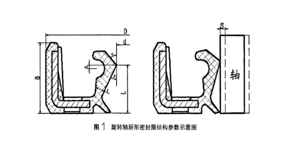 旋轉(zhuǎn)軸唇形油封密封圈的結(jié)構(gòu)參數(shù)示意圖