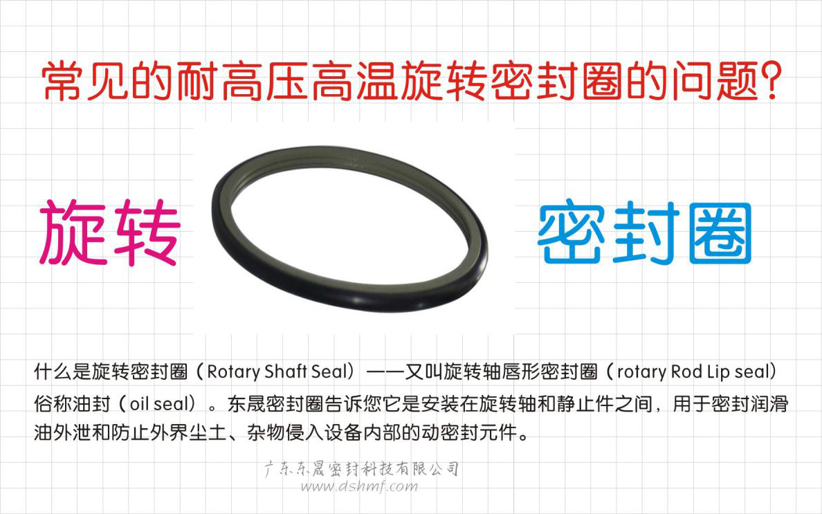 常見的耐高壓高溫旋轉(zhuǎn)密封圈的問題？之四