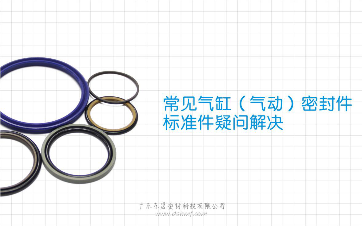 常見氣缸（氣動）密封件標(biāo)準(zhǔn)件疑問解決？