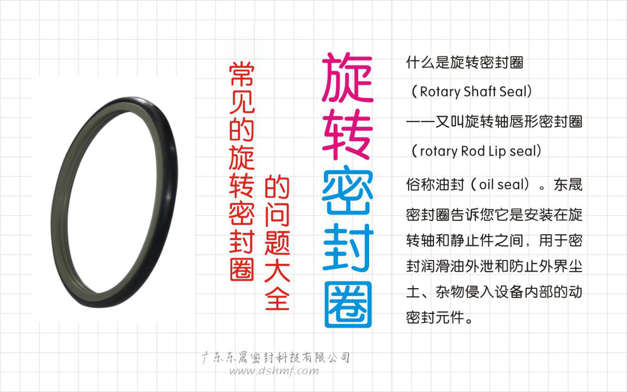 旋轉(zhuǎn)密封件使用問題大全？之一
