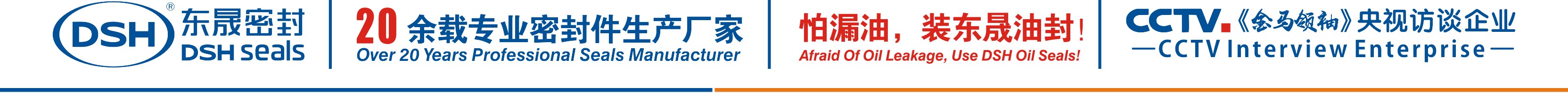 怕漏油，裝東晟油封！