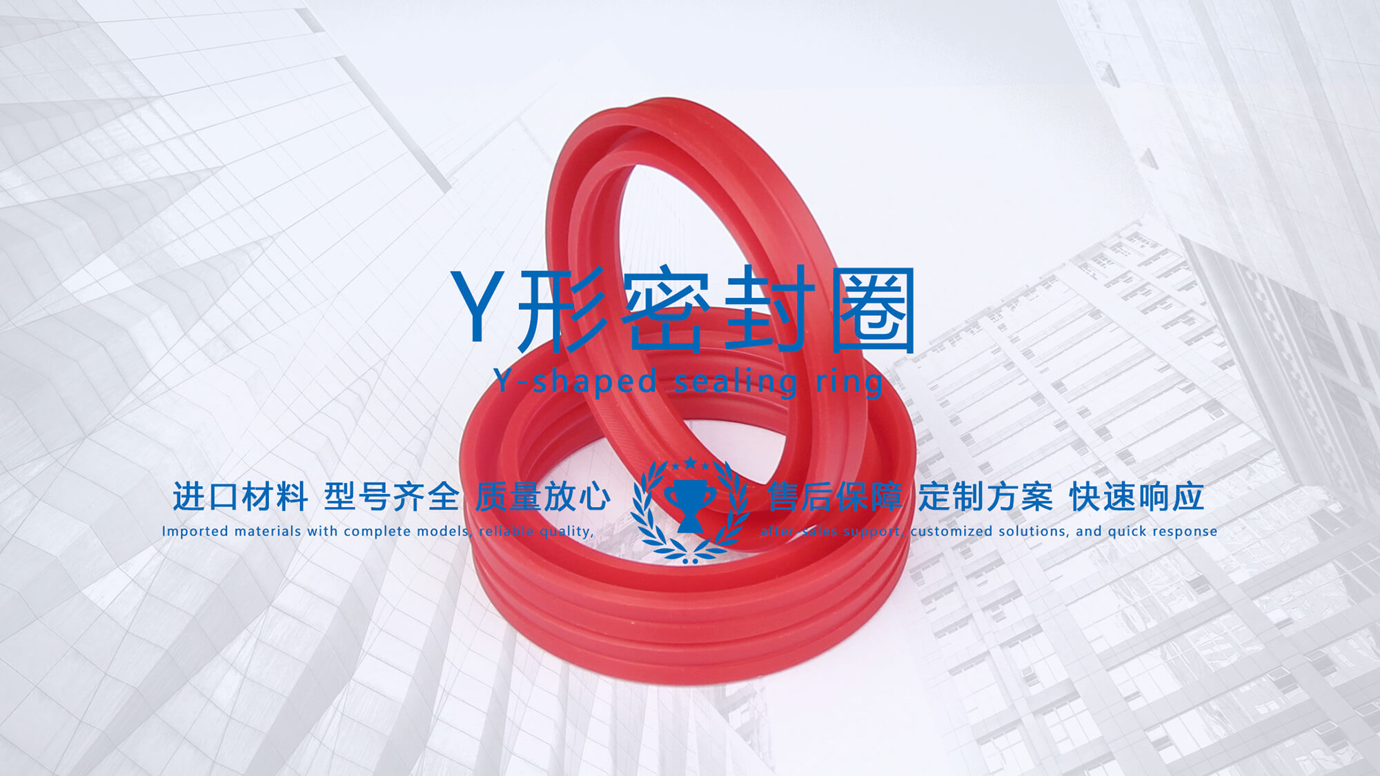 y型密封圈（又Y形密封圈，Y形圈，Y型圖或唇形密封圈，密封件油封膜片） (2)