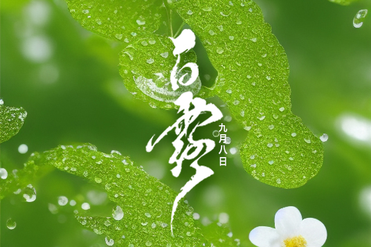 迎接白露:秋季的第一抹清涼!