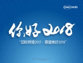 東晟密封件“回眸輝煌2017·展望美好2018！”