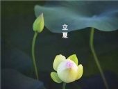 立夏已至，萬物向陽；